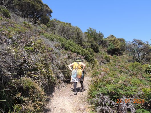 way to Archers Knob